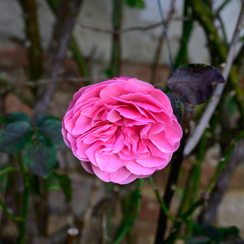 © 2023, Nikon Z8 | ISO 2200 | 120mm | f/16,0 | 1/125 Sek