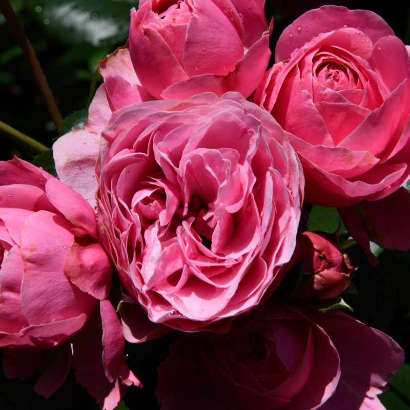 © 2018, Nikon D850 | ISO 100 | 120mm | f/22,0 | 1/100 Sek