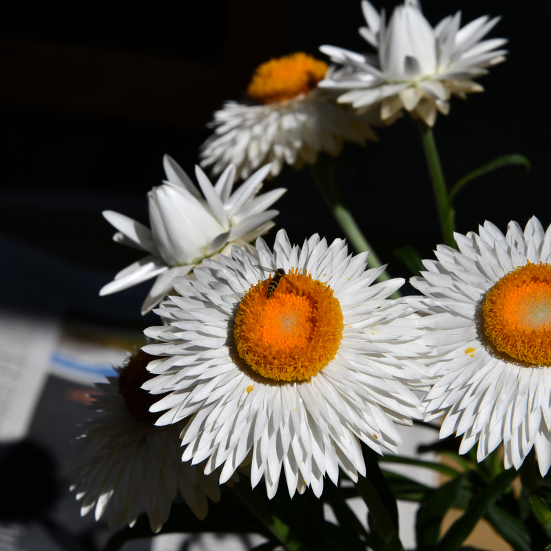 © 2018, Nikon D850 | ISO 100 | 120mm | f/20,0 | 1/160 Sek