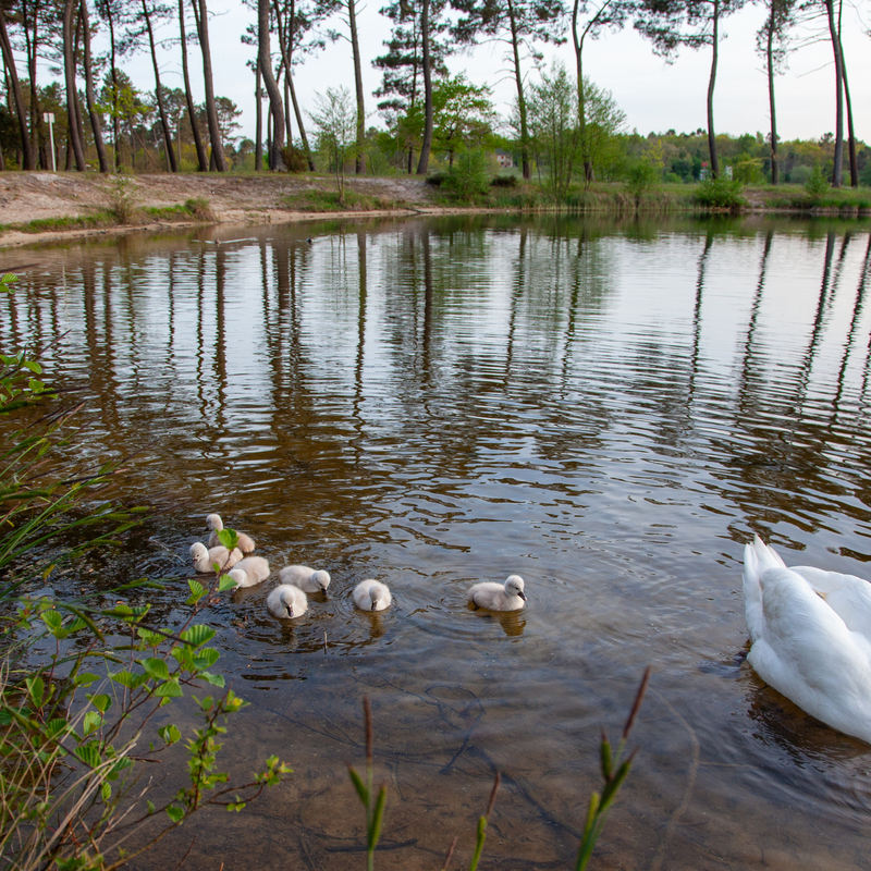 © 2009, Canon EOS-5D Mark II | ISO 400 | 24mm | f/5,6 | 1/60 Sek