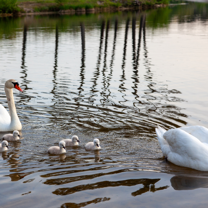 © 2009, Canon EOS-5D Mark II | ISO 400 | 67mm | f/5,6 | 1/125 Sek
