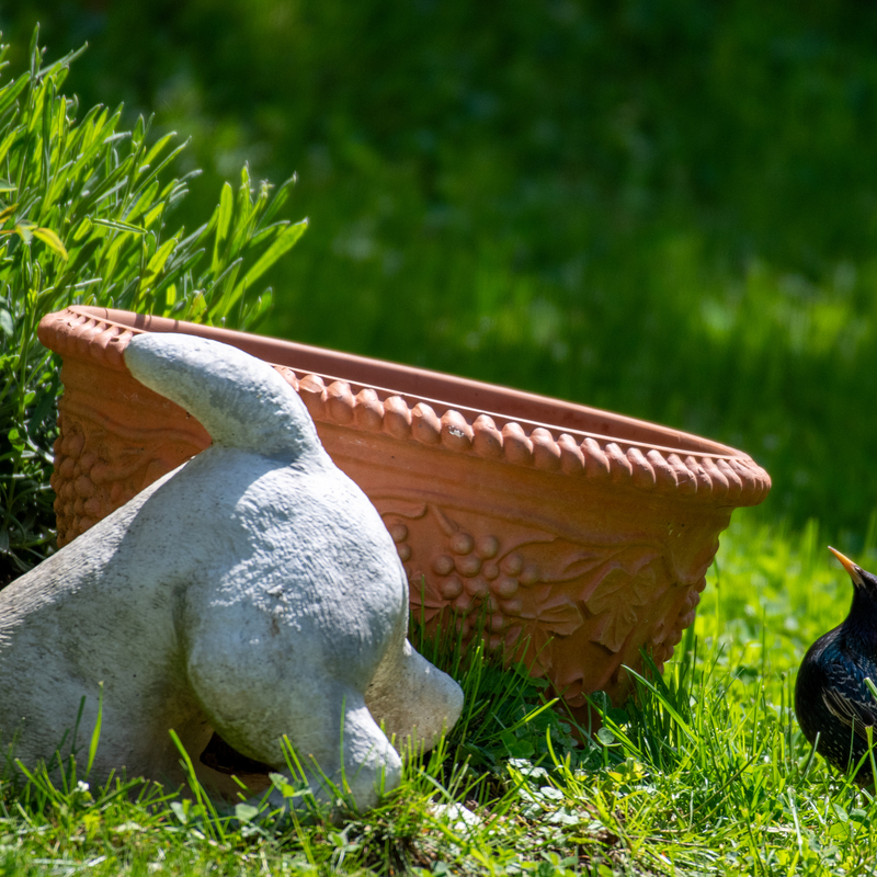 © 2019, Nikon D850 | ISO 400 | 500mm | f/5,6 | 1/1250 Sek