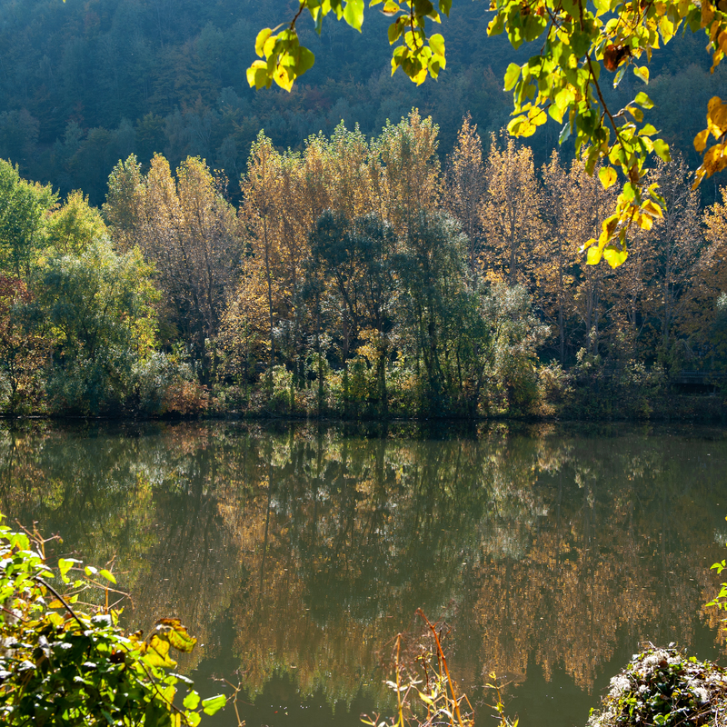 © 2008, Nikon D700 | ISO 200 | 40mm | f/7,1 | 1/200 Sek