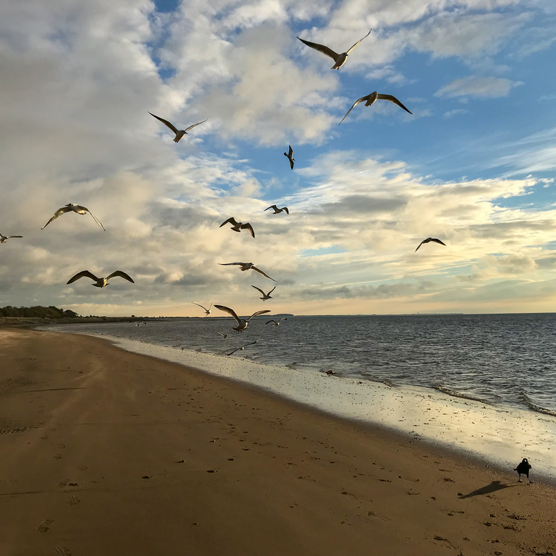 © 2020, Apple iPhone 11 Pro Max | ISO 20 | 6mm | f/2,0 | 1/1250 Sek