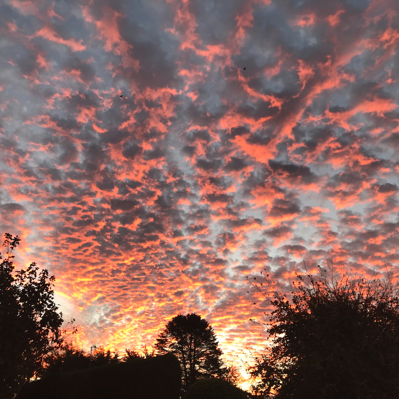 © 2018, Apple iPhone 7 | ISO 20 | 4mm | f/1,8 | 1/50 Sek