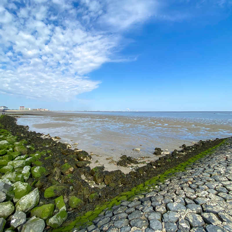 © 2020, Apple iPhone 11 Pro Max | ISO 20 | 1,5mm | f/2,4 | 1/1250 Sek