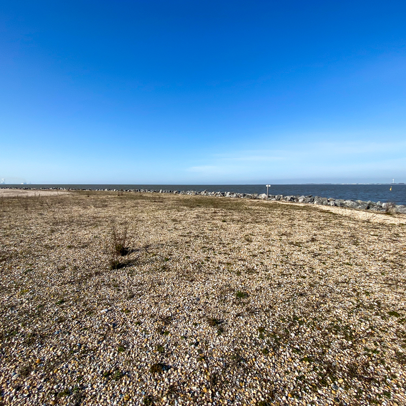 © 2020, Apple iPhone 11 Pro Max | ISO 20 | 1,5mm | f/2,4 | 1/1250 Sek