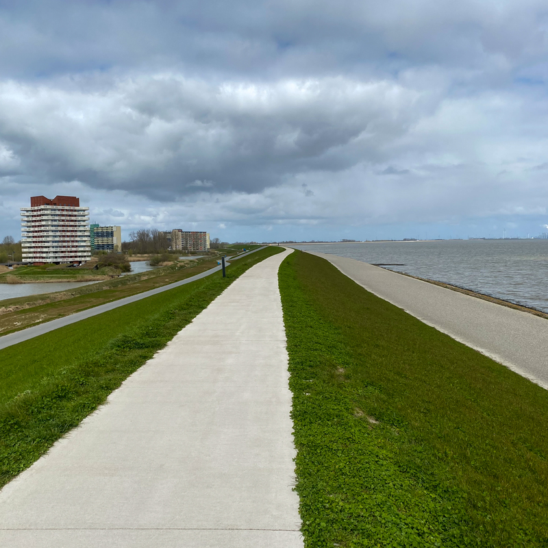 © 2020, Apple iPhone 11 Pro Max | ISO 32 | 4,3mm | f/1,8 | 1/3400 Sek